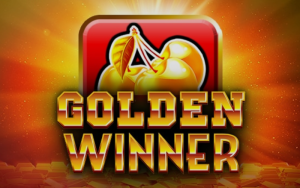 PLAY GOLD WINNER