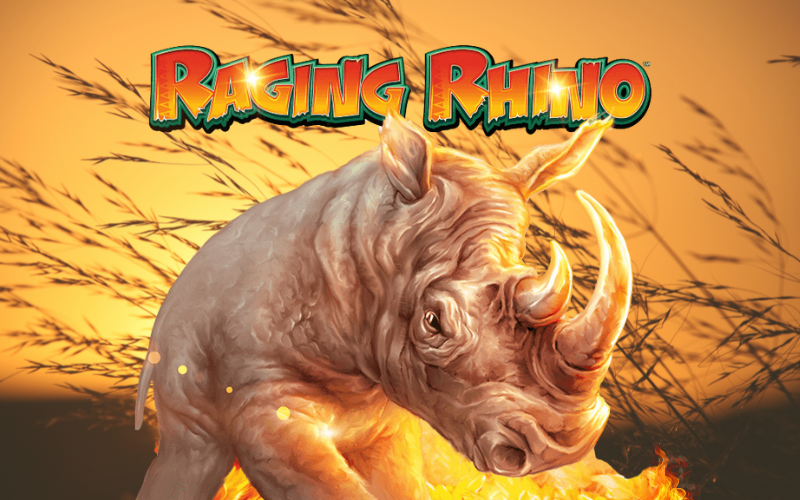 RAGING RHINO